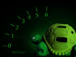 TurtleSpeed